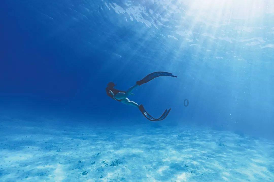 虫虫助手下载